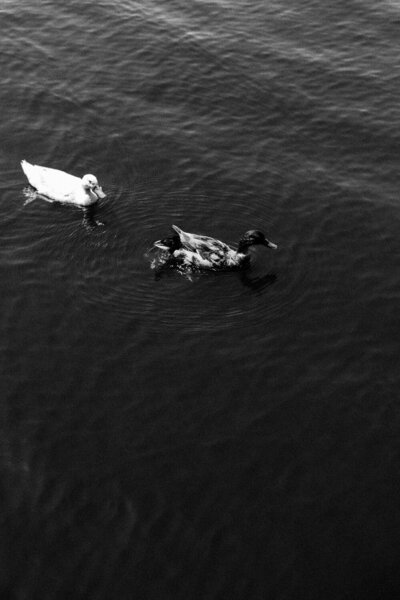 db05354f-9cc3-4718-a447-522e67193a55