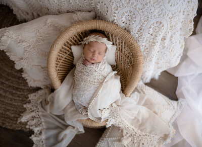 newborn portrait studio photographers