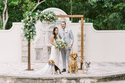 3 wedding dogs in front of a bride and groom