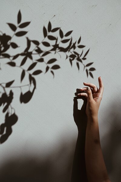 marina-kazmirova-3Nv1SU0ez-A-unsplash