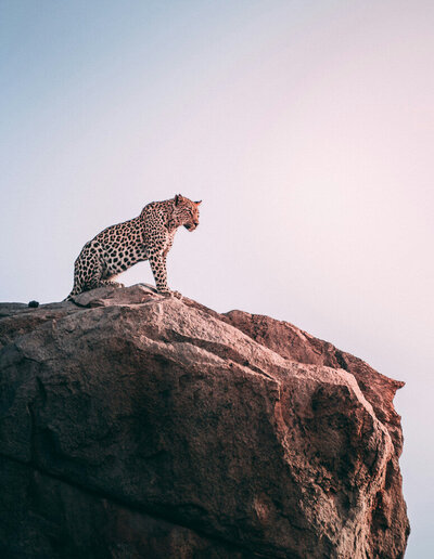 LUXURY EXPERIENTIAL TRAVEL