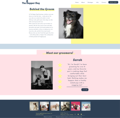 dapper dog web design about page