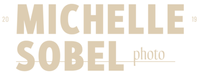 Michelle Sobel logo