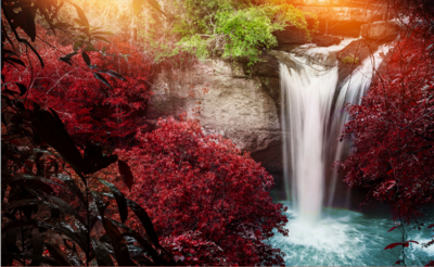 Waterfall next to vibrant red trees