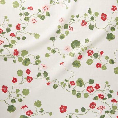 Nasturtium-Meadow-SQUARE_1080x