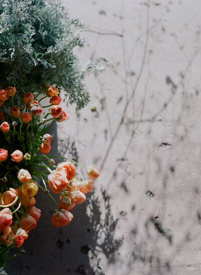 2016_LFS_Sonoma_0034