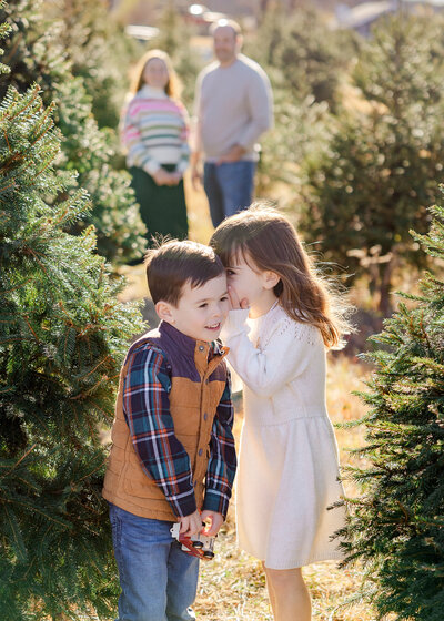 Holiday photo of laughing siblings sharing a secret at a Sussex County, New Jersey Christmas tree farm.