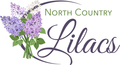 Bouquet of blue, violet and white lilacs with text North Country Lilacs to the right with the word Lilacs in script font