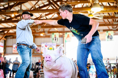 Boy fist bumping judge during hog show