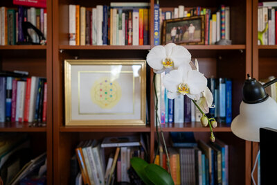 Orchid and bookshelf in Audrie Meyer's space, representing growth, learning, and spiritual transformation.