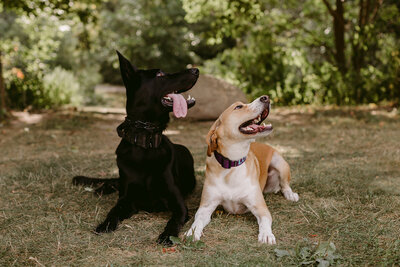 Mélissa+Brooke_Maternity_DanicaOlivaPhotos_12_websize