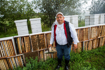 elderly beekeeper with bee hives