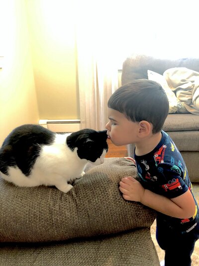 Boy child kid kissing with cute cat kitty kitten black and white, adoption profile, giving up my baby, adoption agencies near me, long island, new york