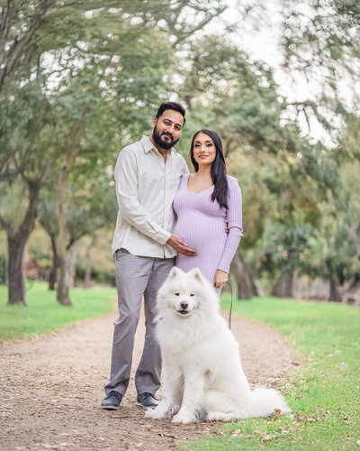 Pregnant couple posing with their pet dog during a maternity photoshoot at an oak grove in San Jose