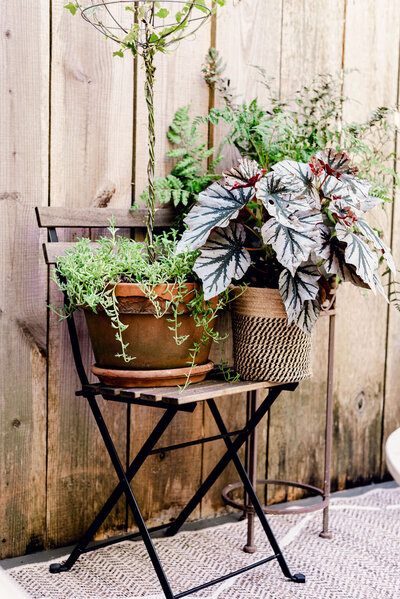 Container gardens sitting on an outdoor dining chair