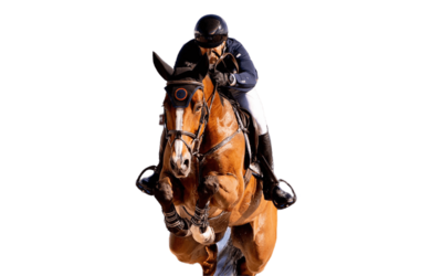 Wellington showjumping results