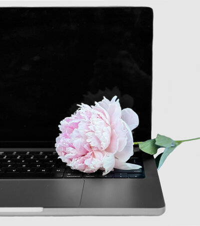 This image depicts a peony flower sitting on an open macbook