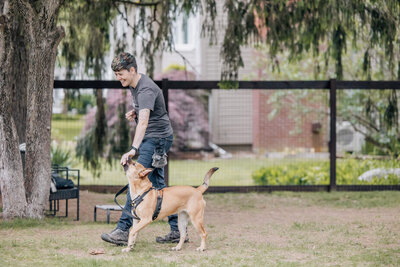 Woman in grey shirt is walking with light brown dog who is meeting her hand for a treat.