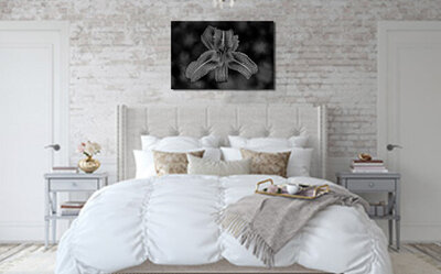 Limited Edition Flower Photography Black and White Print Closeup of Tiger Lily against out of fous background title Come Hither hanging on wall above bed