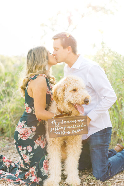 Dog wears a sign that says 'my humans are getting married' as his owners lean in for a kiss behind him.