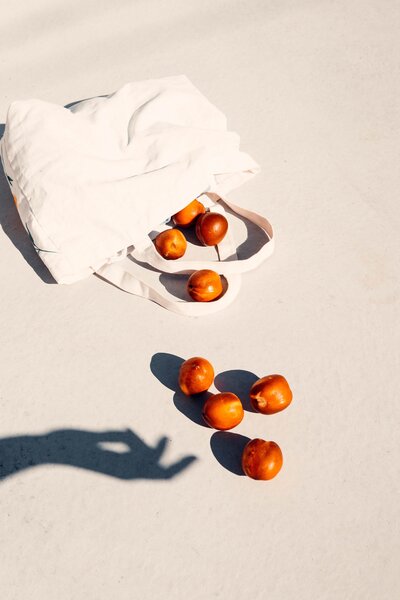 mathilde-langevin-ysiirVhCZ2Q-unsplash