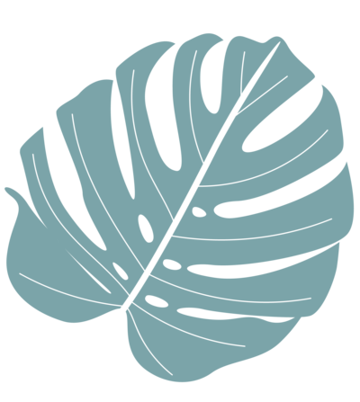 Branding Graphic of tropical leaf in soft blue