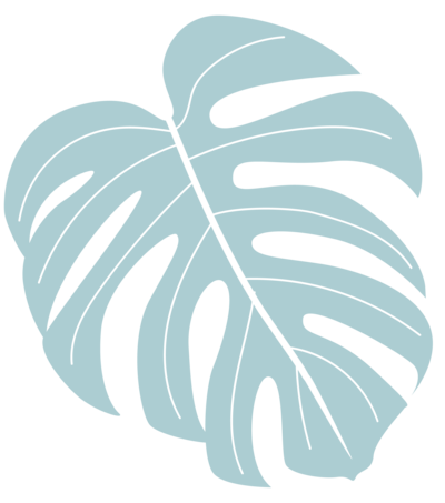 Branding Graphic of tropical leaf in soft blue