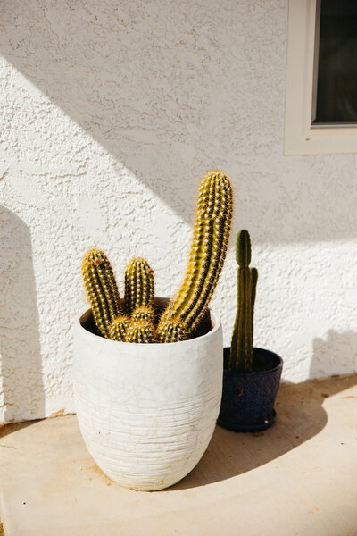 joshua tree air bnb