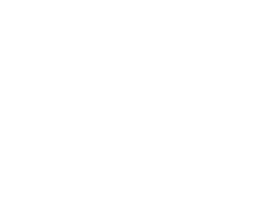 Jouw hondenfotograaf in het Noorden