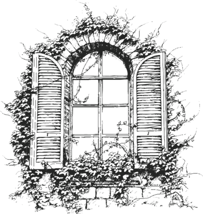 window illustration