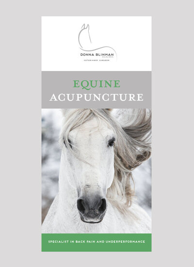 Equine-Acupuncture-leaflet