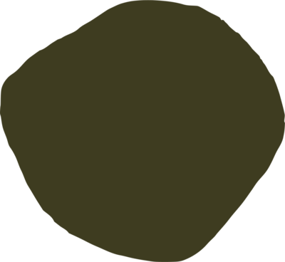 ayahuasca retreat costa rica