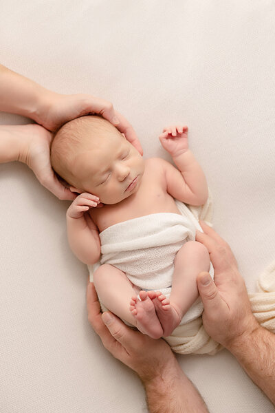 baby girl on cream backdrop with mom and dad's hands in beautiful portland baby photography by Ann Marshall