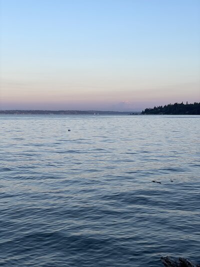 Image shows Puget Sound at dusk from Bainbridge Island, showing Mt Rainier.  Textiles in particular have massively contributed to water and air pollution. I give preference to companies who are making the environment a priority in their manufacturing methods.