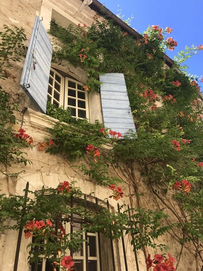 mer-bleue-france-hayes-12