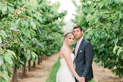 woman holding onto grooms hand at vineyard.