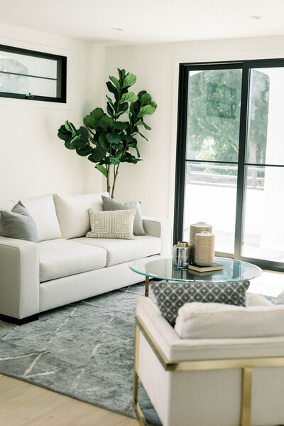 White and grey designer living room with plant in corner