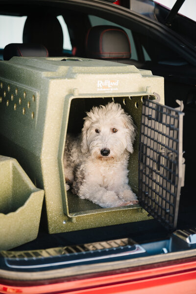 ruffland-kennels-2023-5102