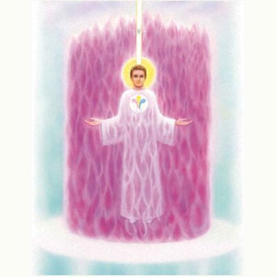 teachings of the ascended masters dynamic decrees saint germain violet flame elizabeth clare prophet at tsl teaching center of palm beach county 014