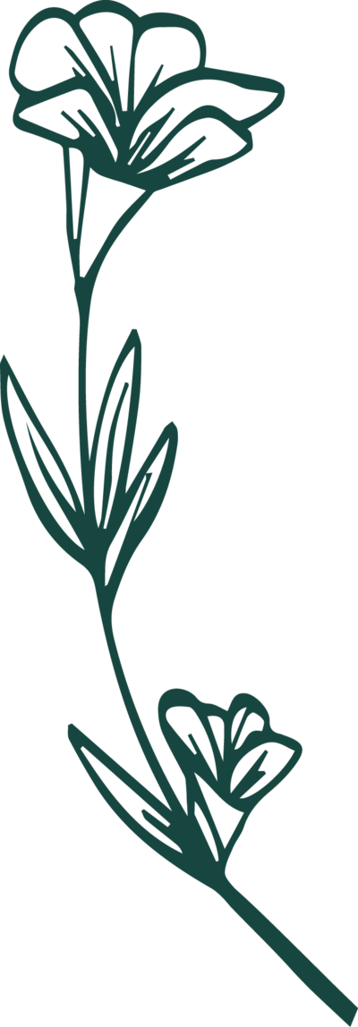 Transparent flower illustration