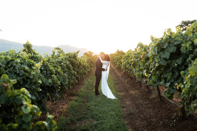 A wedding couple hugging at sunset amongst the vines at Enzo's Weddings in the Hunter Valley