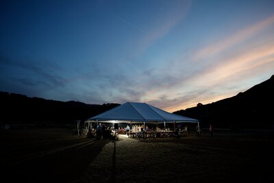 Marriage Proposal at Ventana Big Sur - Steelman Photographers