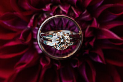 wedding rings on bright red dahlia flower by lou lou blooms