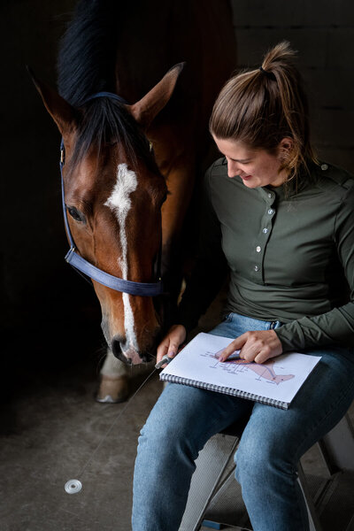 Quinty-van-Tatenhove-Energetische-therapie-paarden