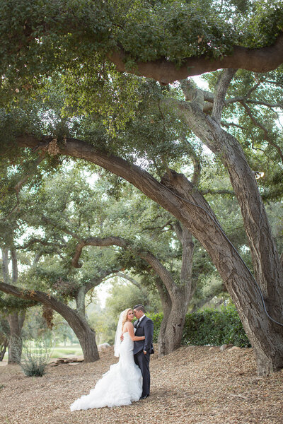 Bride and Groom under trees at their wedding at Mount Woodson Castle