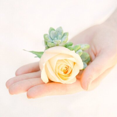 A peach rose boutonniere for a small wedding on Maui