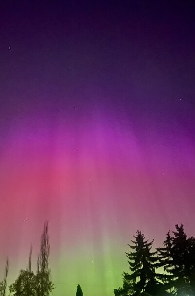northern lights in Edmonton by Kelsie kellyPhotographer
