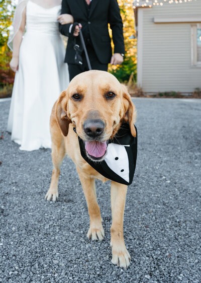 Maine Beech Hill Barn wedding photos featuring romantic outdoor portraits and candid storytelling.