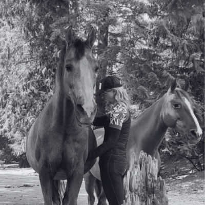 equine energy healing reiki