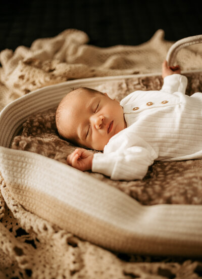 Newborn baby in a moses basket.